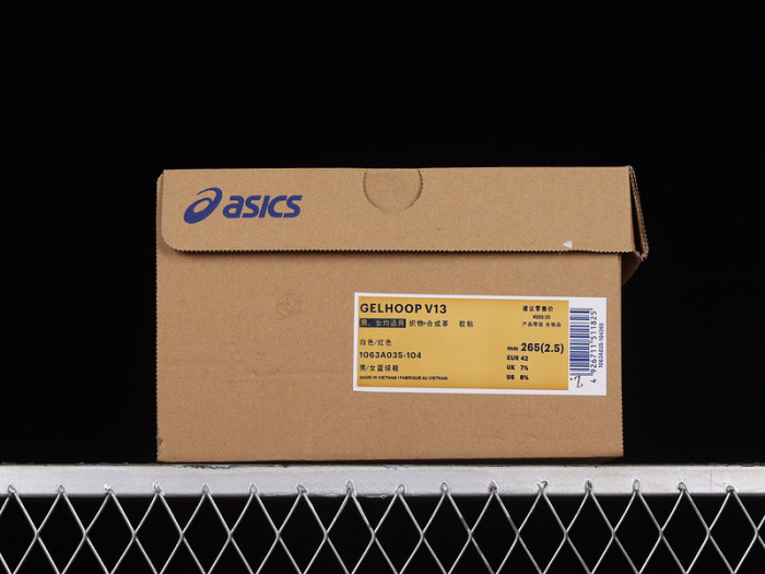 As*ic*s gelhoop v13 