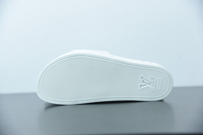 LUSV SLIDE