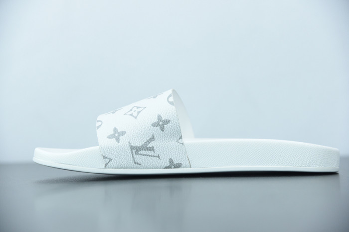 LUSV SLIDE