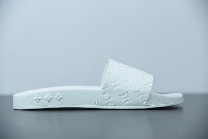 LUSV SLIDE