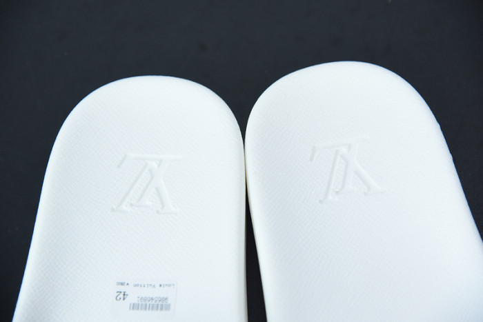 LUSV SLIDE